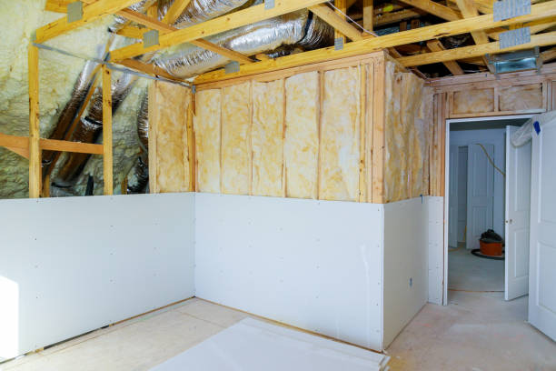 Best Professional Insulation Contractor  in Belle Plaine, MN