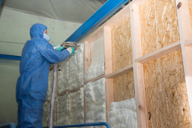 Insulation Repair Services in Belle Plaine, MN